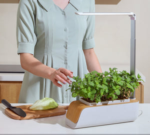 V.003 - Indoor Smart Garden